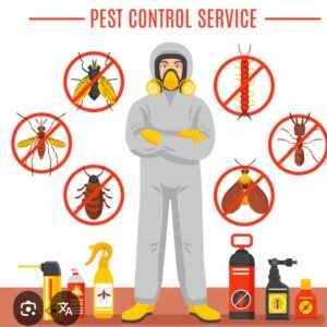 Pest Control services
